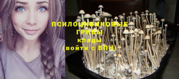COCAINE Баксан